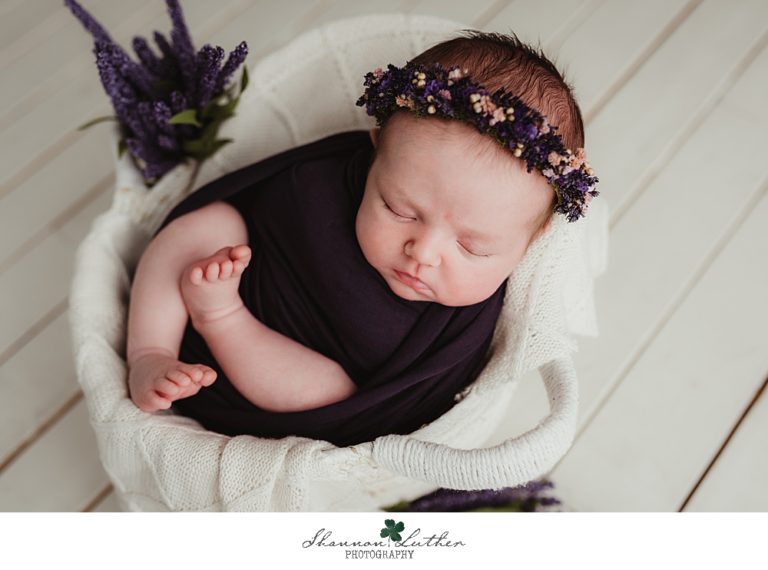 Crossett Arkansas Newborn Portrait Photographer | Blakellie Newborn Studio Portrait Session
