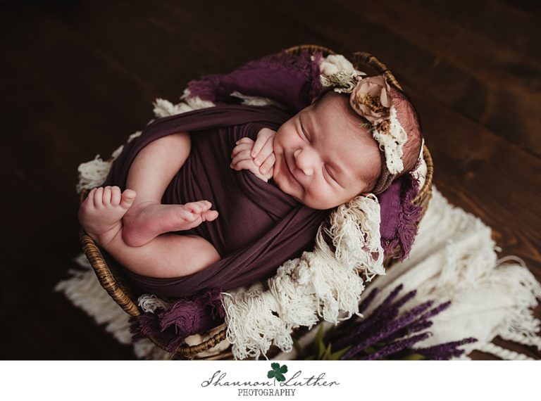 Calhoun Louisiana Newborn Portrait Photographer | Meadow Newborn Studio Portrait Mini-Session