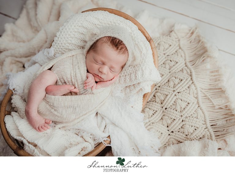 Monroe Louisiana Newborn Portrait Photographer | Lincoln Newborn Studio Portrait Mini-Session