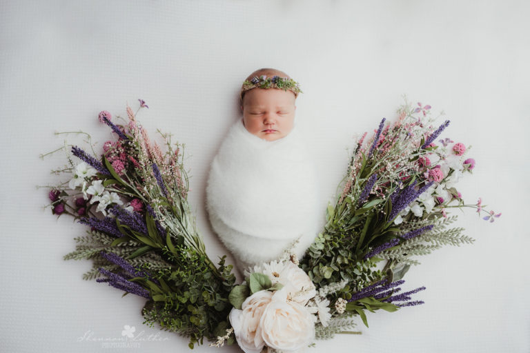West Monroe Louisiana Newborn Portrait Photographer |  Zulie Newborn Studio Portrait Session Sneak Peek