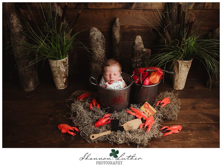 Sterlington Louisiana Newborn Portrait Photographer | Eli Newborn Studio Portrait Session