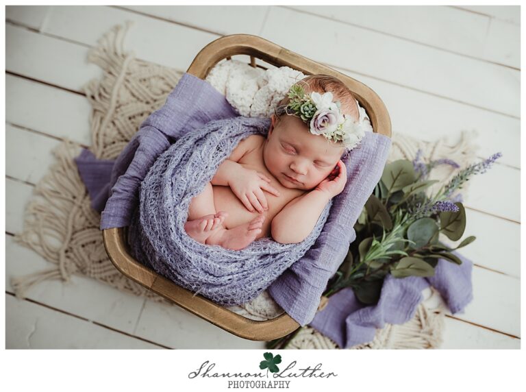 Ruston Louisiana Newborn Portrait Photographer | Winry Newborn Studio Portrait Session