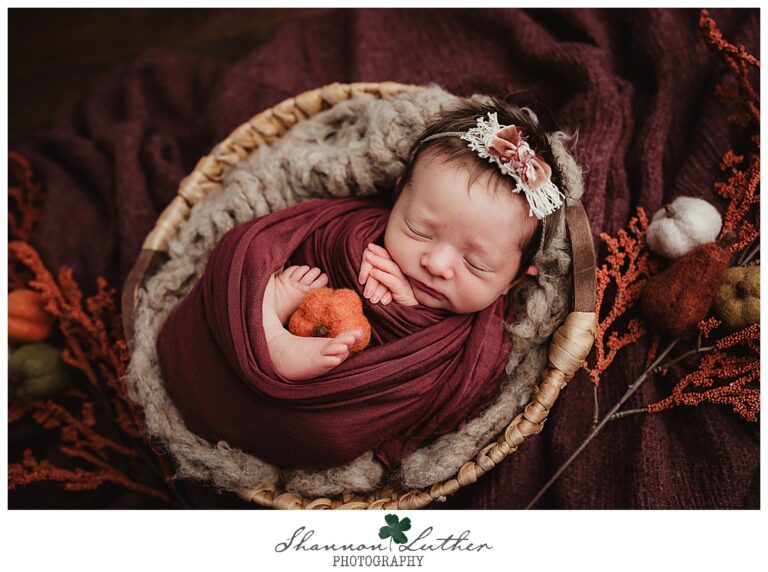 Downsville Louisiana Newborn Portrait Photographer | Penelope Newborn Studio Portrait Mini-Session