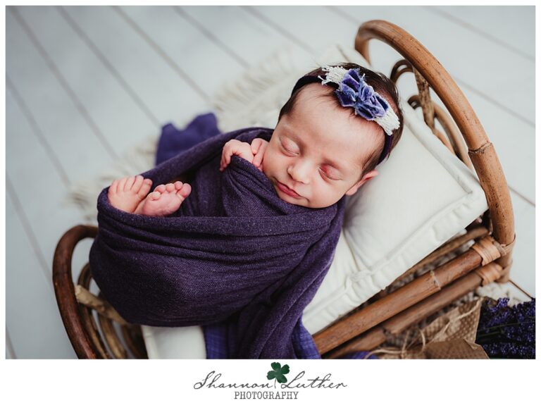 West Monroe Louisiana Newborn Portrait Photographer | Lakelee Newborn Studio Portrait Mini-Session
