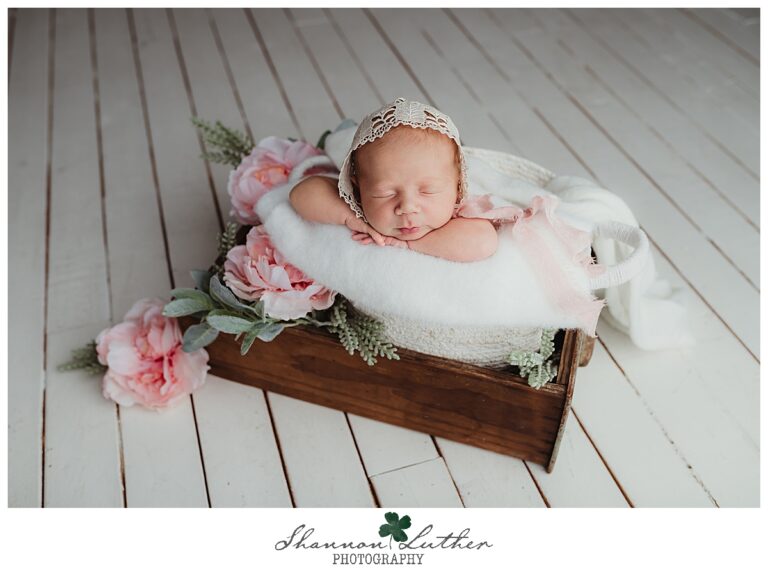 Monroe Louisiana Newborn Portrait Photographer | Emma Claire Newborn Studio Portrait Session