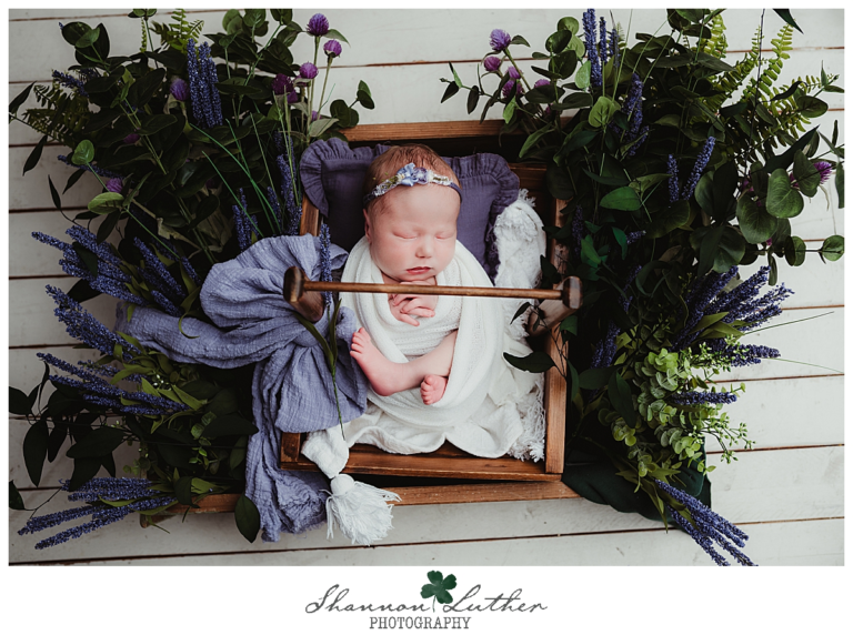 Monroe Louisiana Newborn Portrait Photographer | Landrie Newborn Studio Portrait Petite-Session