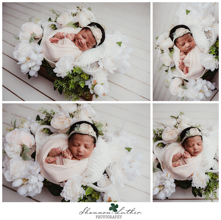 Monroe Louisiana Newborn Portrait Photographer | Kinsley Newborn Studio Portrait Petite-Session